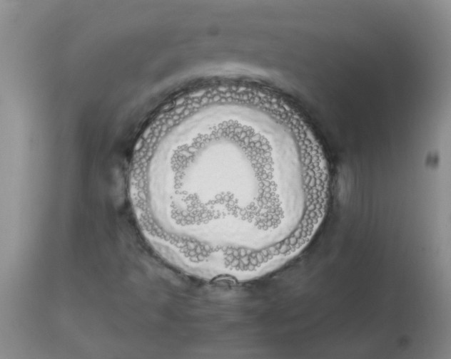 X0000113851493200910151159