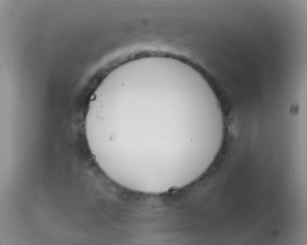 X0000113851495200910151159