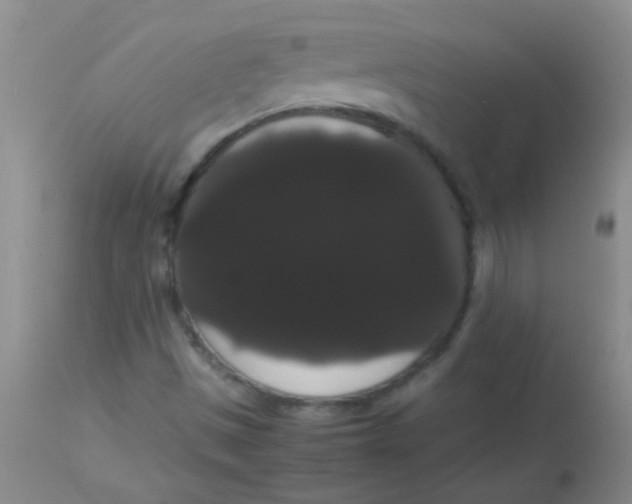 X0000113851497200910151159