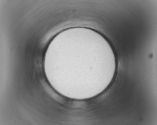 X0000113851498200910151159