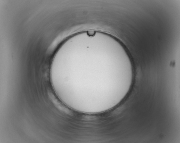 X0000113851499200910151159