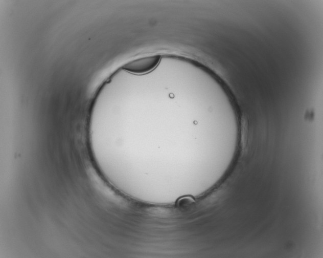 X0000113851500200910151159