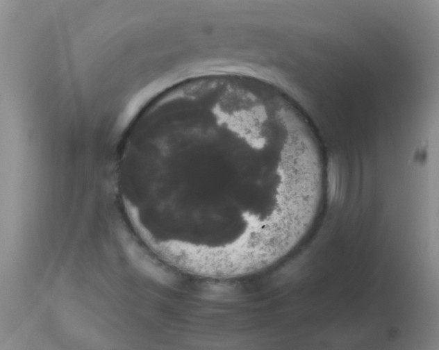 X0000113851501200910151159