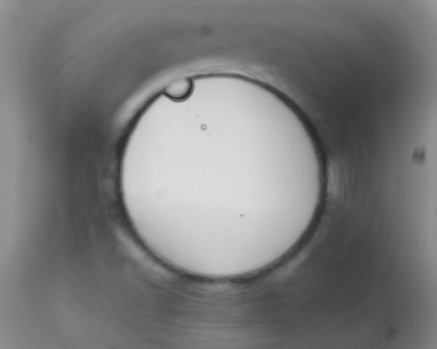 X0000113851502200910151159