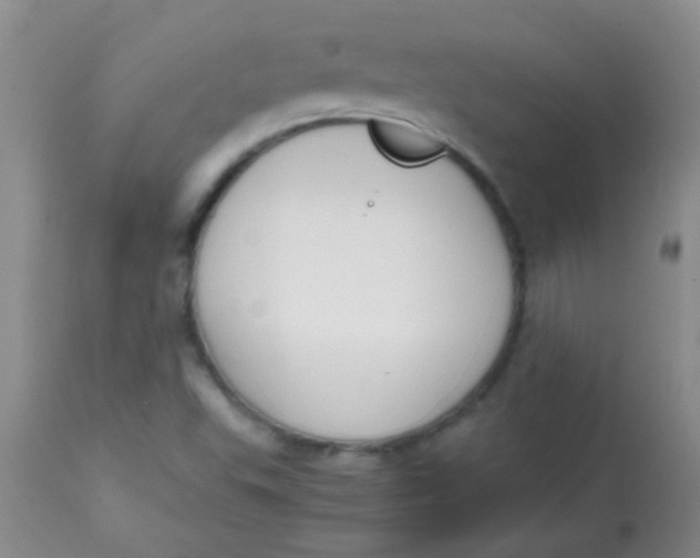 X0000113851503200910151159