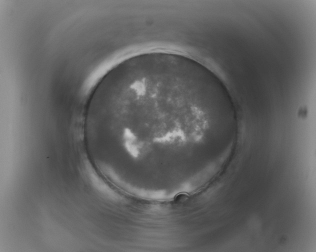 X0000113851504200910151159