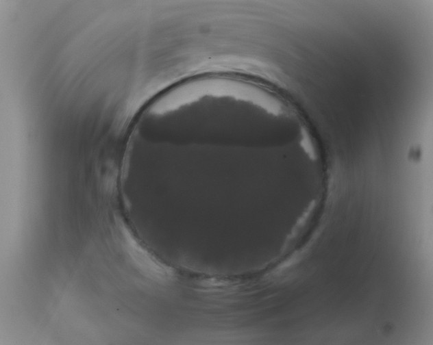 X0000113851505200910151159