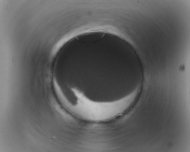 X0000113851506200910151159