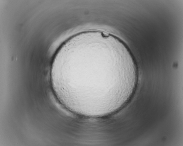 X0000113851507200910151159