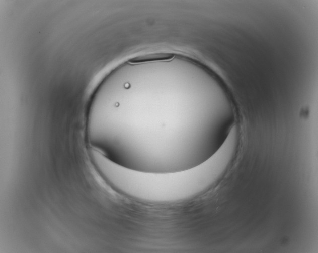 X0000113851508200910151159