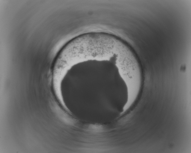 X0000113851509200910151159