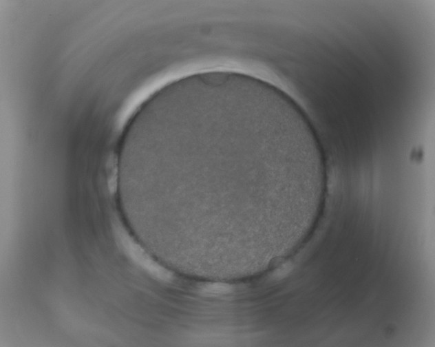 X0000113851510200910151159