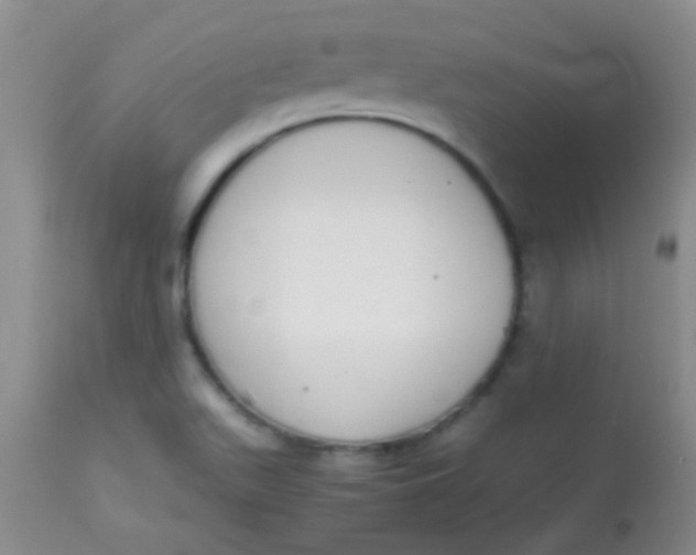 X0000113851511200910151159