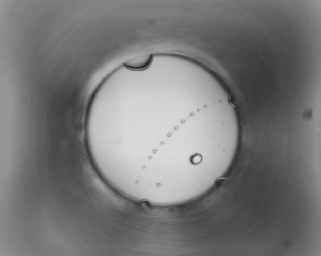 X0000113851512200910151159