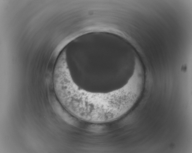 X0000113851513200910151159