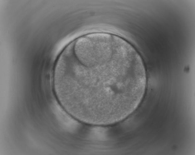 X0000113851514200910151159