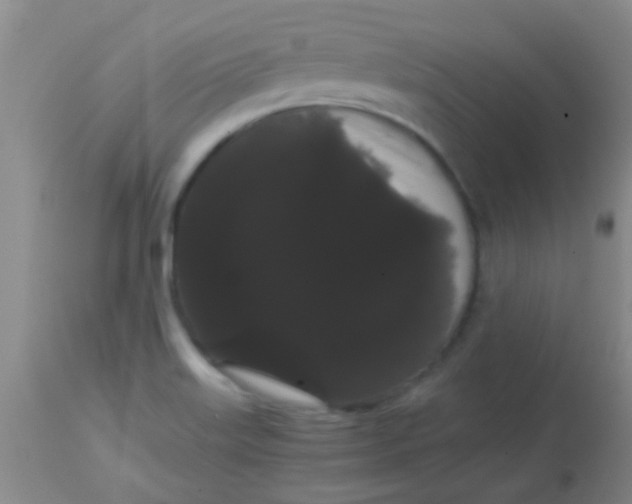 X0000113851515200910151159