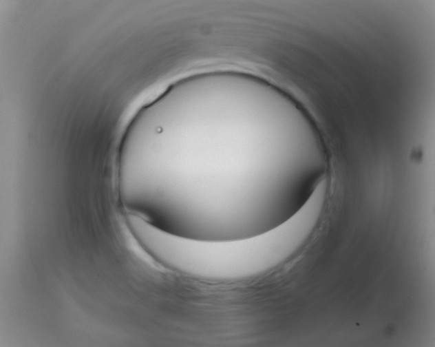 X0000113851516200910151159