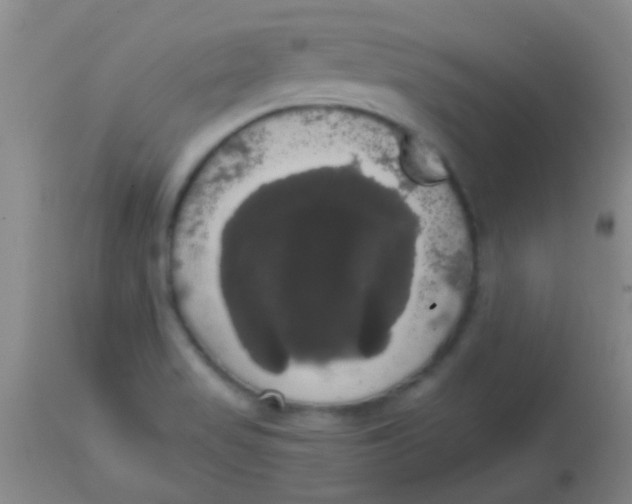 X0000113851517200910151159