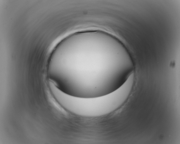 X0000113851518200910151159