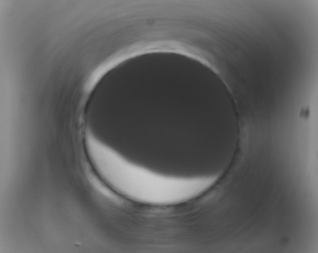 X0000113851519200910151159