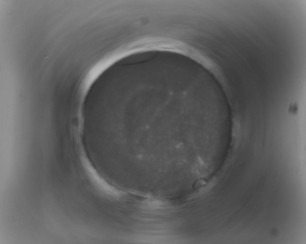 X0000113851520200910151159