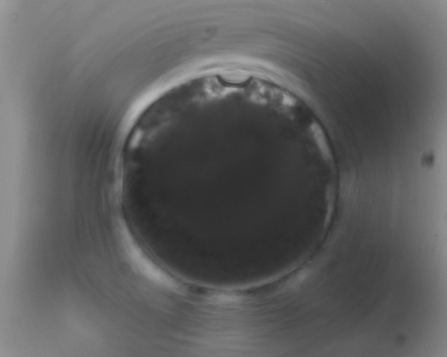 X0000113851522200910151159