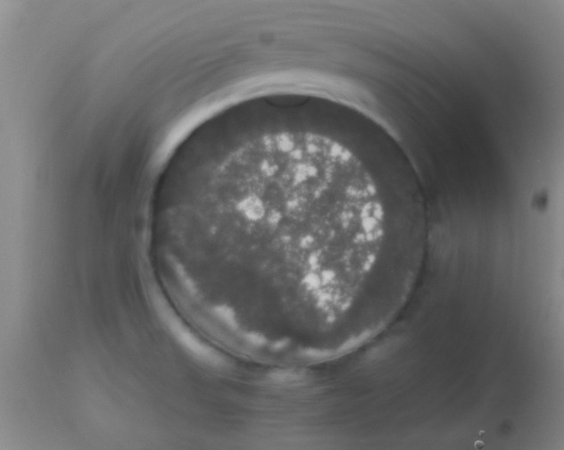 X0000113851523200910151159