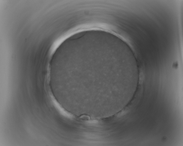 X0000113851524200910151159