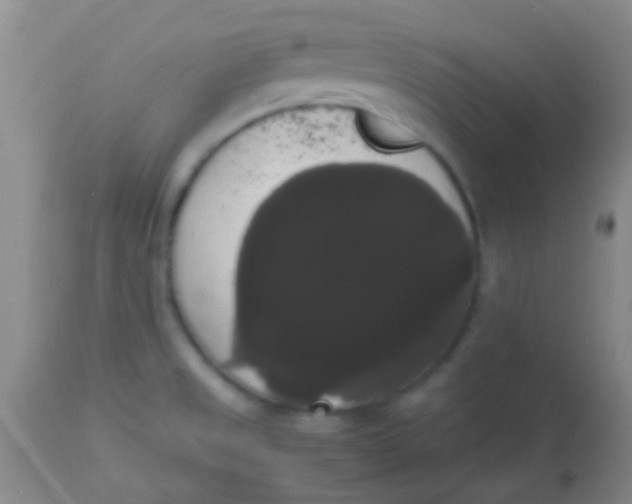 X0000113851525200910151159