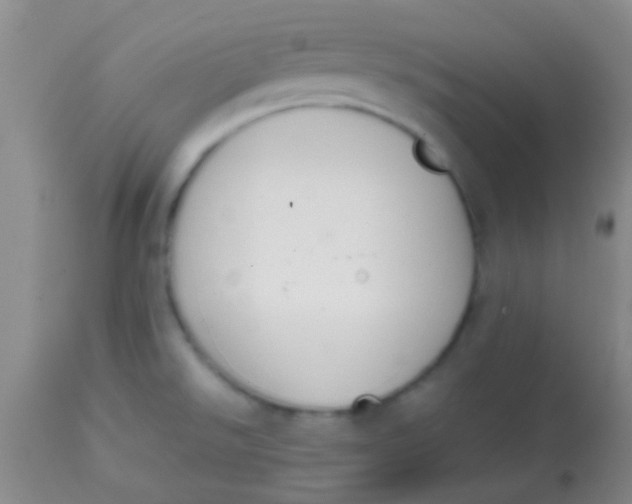 X0000113851526200910151159