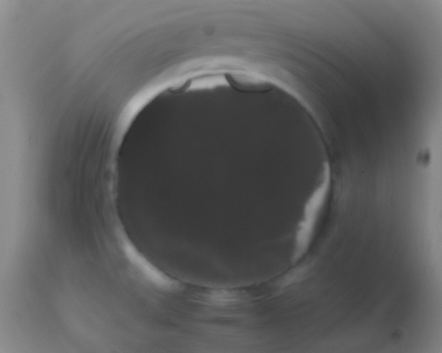 X0000113851527200910151159