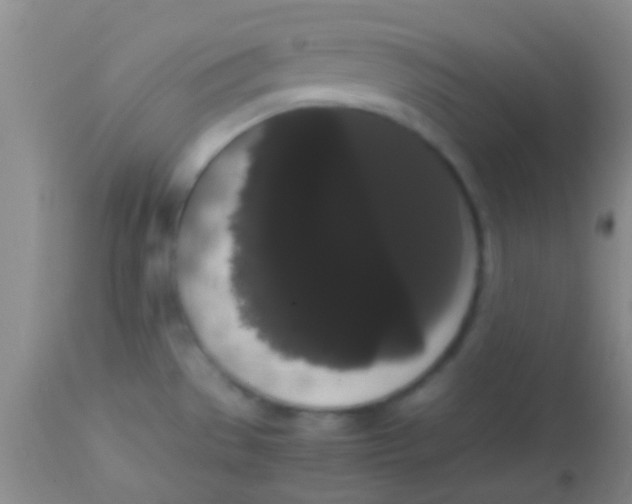 X0000113851529200910151159