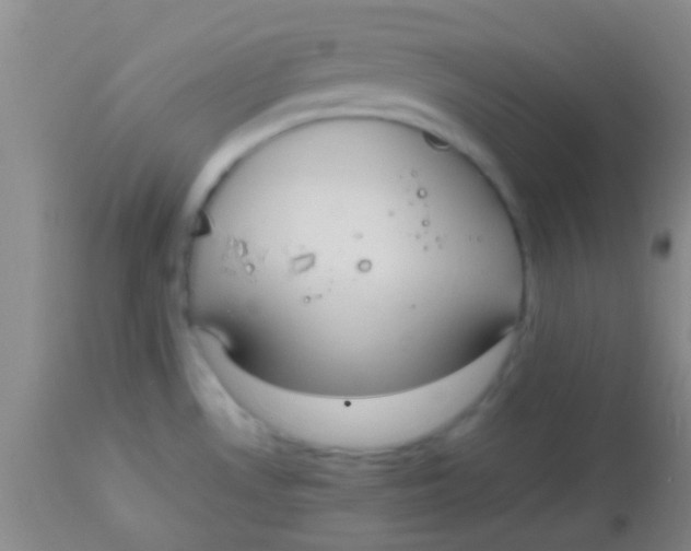 X0000113851530200910151159