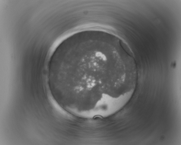 X0000113851531200910151159