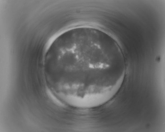 X0000113851532200910151159