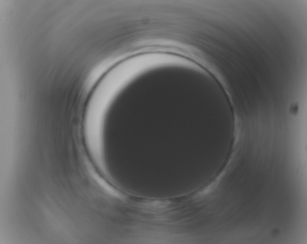 X0000113851533200910151159