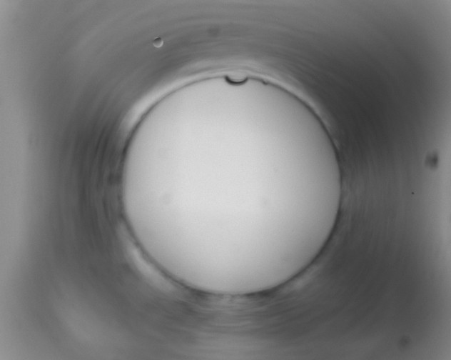 X0000113851534200910151159