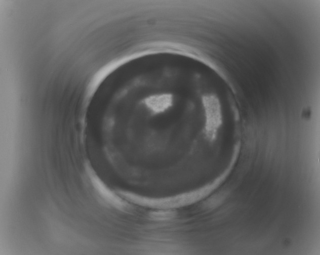 X0000113851535200910151159