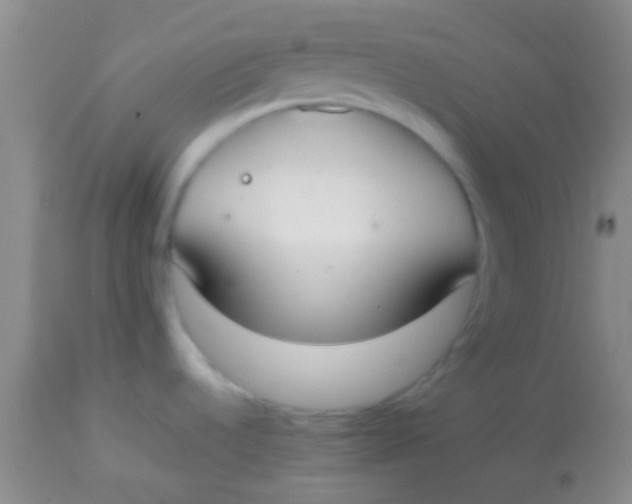 X0000113851536200910151159