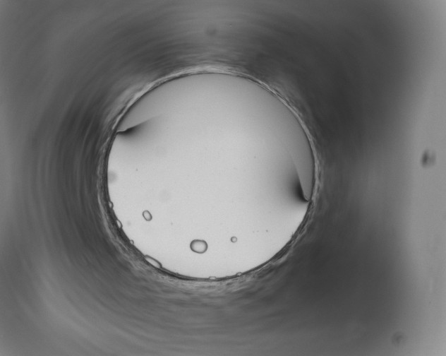 X0000113850001200910221429