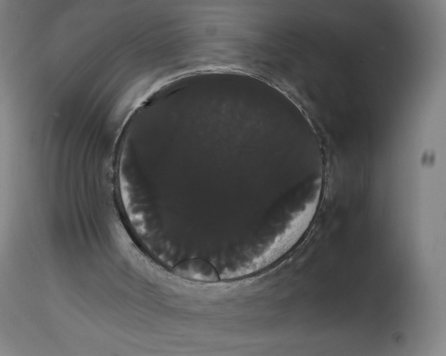 X0000113850002200910221429