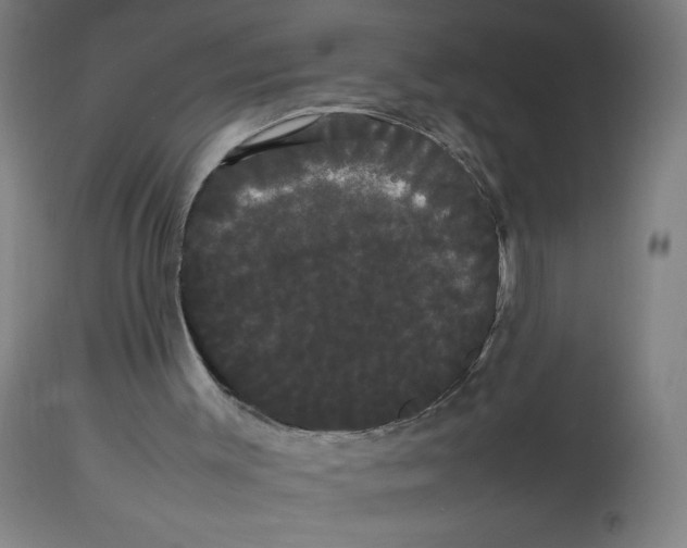 X0000113850003200910221429