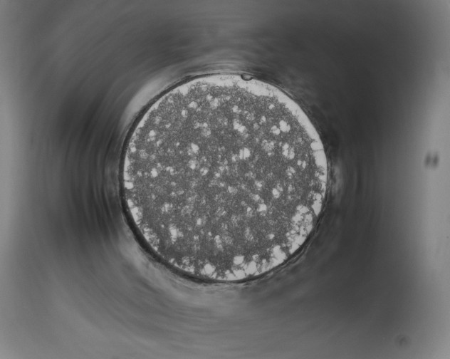 X0000113850004200910221429