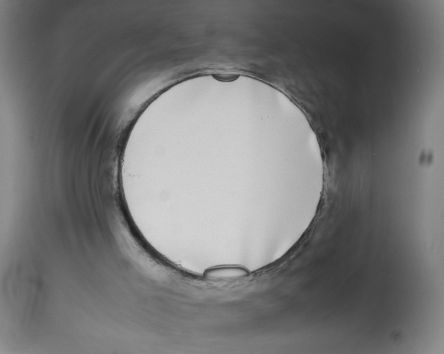 X0000113850005200910221429