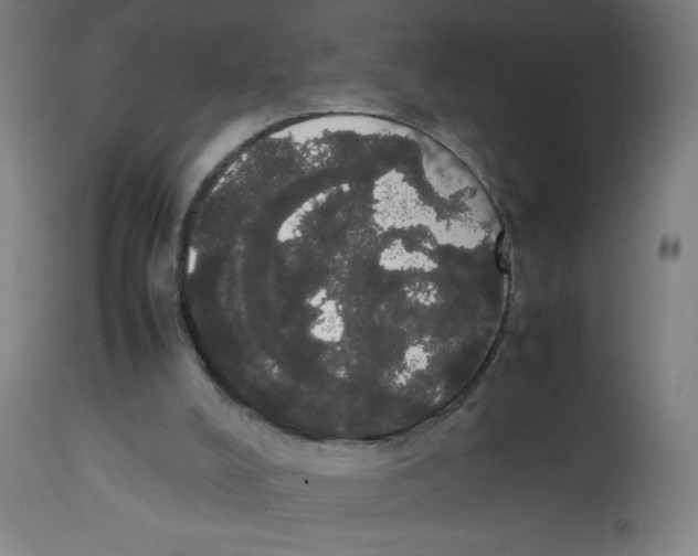 X0000113850008200910221429