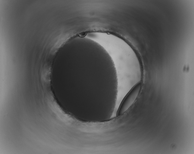 X0000113850009200910221429