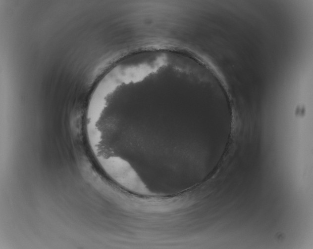 X0000113850010200910221429