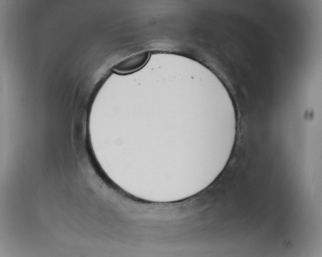 X0000113850011200910221429