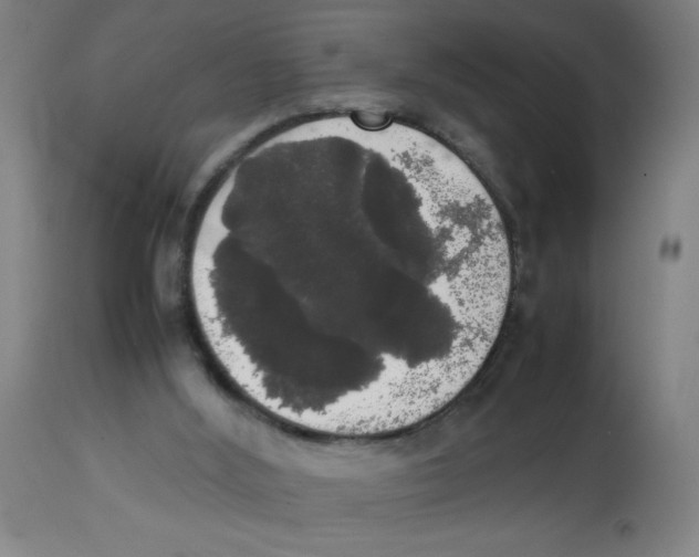 X0000113850012200910221429